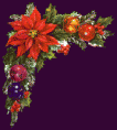 /album/bildgalleri-hemsidor/poinsettaleft-gif/