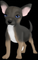 /album/bildgalleri-hemsidor/chihuahua-commission-3-by-guidedoglover-png/