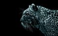 /album/bildgalleri-hemsidor/digital-leopard-wide-png/